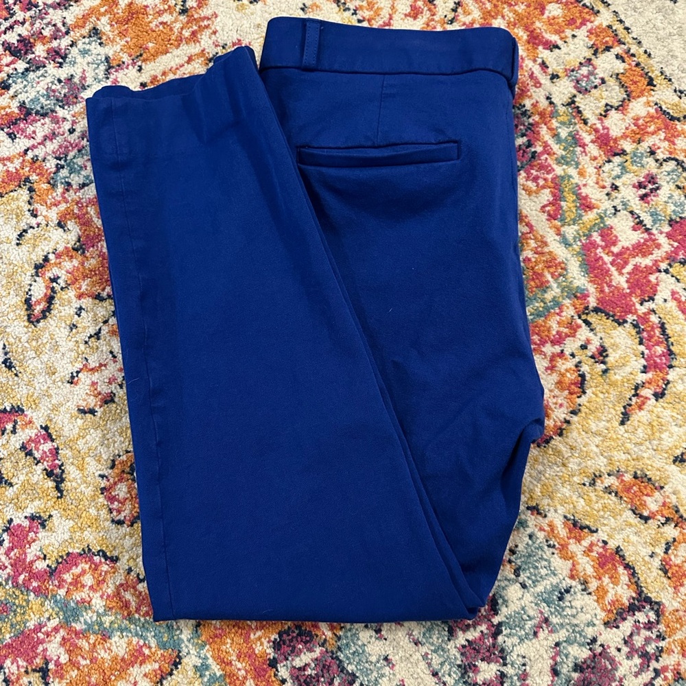 Banana Relublic Sloan Sapphire Blue Pants